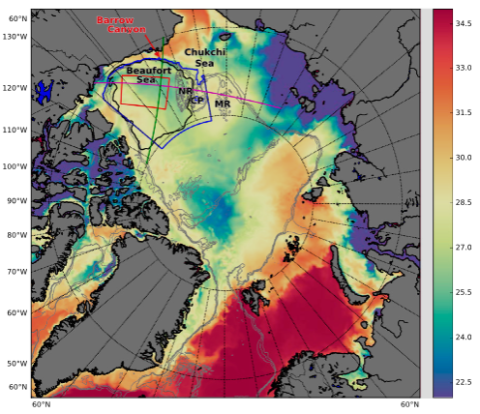 The Beaufort Gyre in the Arctic Ocean.