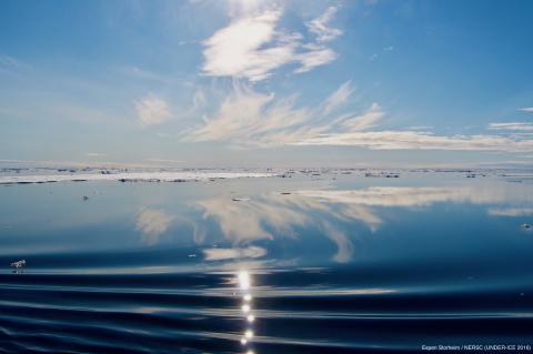 Fron UNDER ICE cruise 2016. Photo/copyright: Espen Storheim, NERSC.