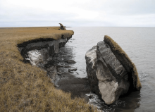 A block of thawing permafrost that fell into the ocean on Alaska’s Arctic Coast. Credit: U.S. Geological Survey